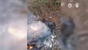 "Піджарили окупанта до хрусткої скоринки": ударні дрони "Птахів Мадяра" ліквідували загарбника. ВIДЕО 18+