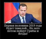 ...а потом желуди