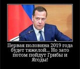...а потом желуди