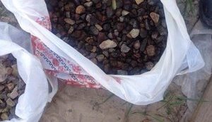 80 amber miners blocking Warsaw highway detained in Volyn region, - Interior Ministry