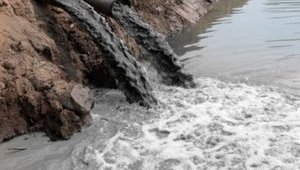 Нова екологічна катастрофа в окупованому Криму: каналізаційні стоки і хімікати забруднили море. ДОКУМЕНТ