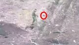 Russian fights off drone with stick