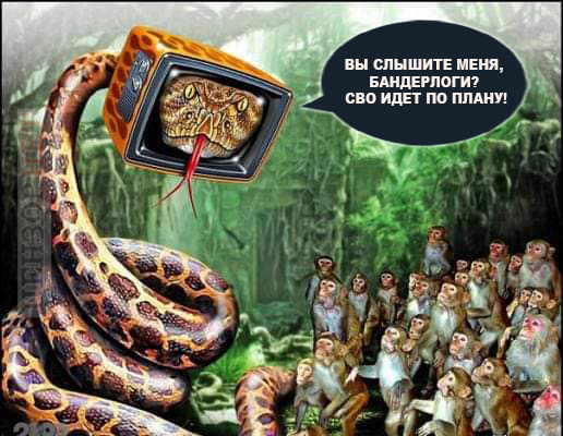 Вы слышите меня, бандерлоги? Выступление Путина перед Федеральным собранием в ФОТОжабах 01