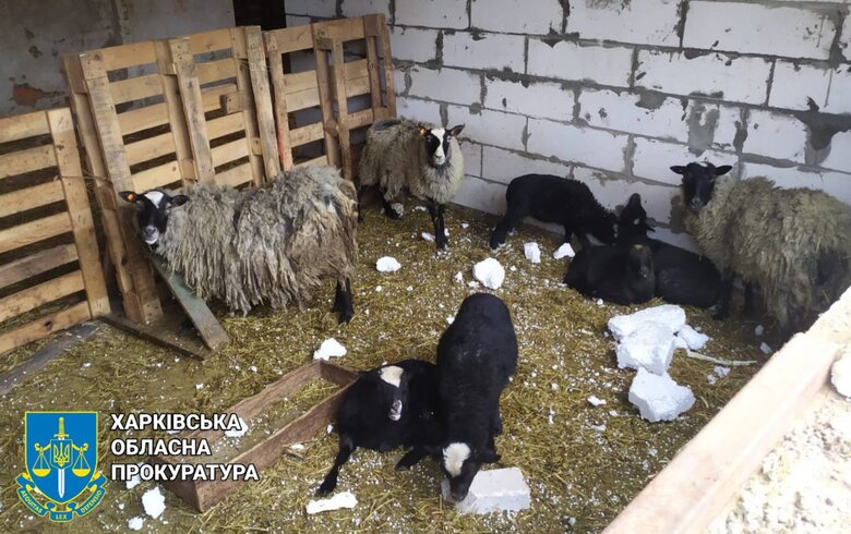 Росіяни атакували шахедами притулок тварин на Харківщині