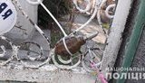 Боевая граната обнаружена на воротах частного дома на Одесчине, - Нацполиция. ФОТО