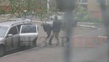 Перша успішна засідка українського спецназу: 18 травня 2014 року 8-й полк захопив перший російський ПЗРК