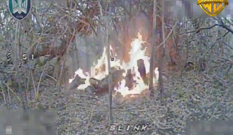 WORMBUSTERS drone operators of 414th Brigade roast occupier in bushes in Pokrovsk direction. VIDEO