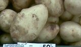 Жителей Донецка осчастливили молодой картошкой по 50 грн за кг