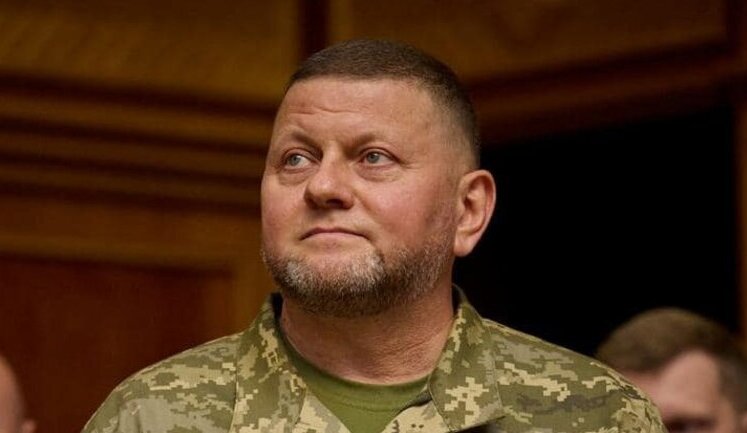 If Zaluzhnyi formed party, he could get majority in parliament - poll. INFOGRAPHICS