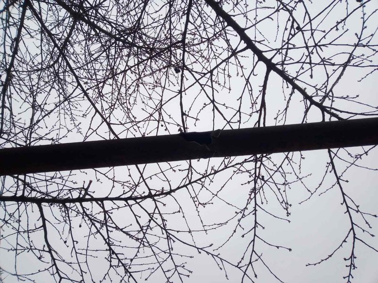 Российские оккупанты обстреляли жилые кварталы Врубовки в Луганской области: повреждены школа, дома и газопровод 07 Российские оккупанты обстреляли жилые кварталы Врубовки в Луганской области: повреждены школа, дома и газопровод 07