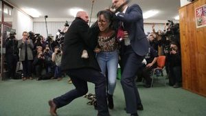 Активистка Femen Диаш получила условный срок за акцию против президента Чехии