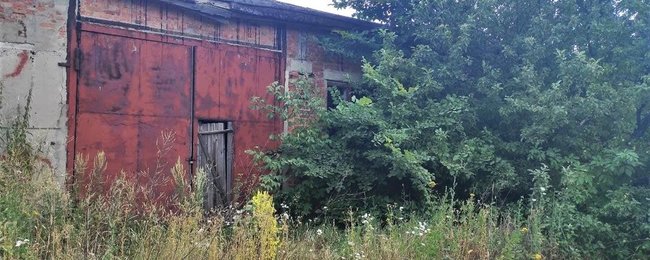 Убивство 6-річної Мирослави під Харковом: 13-річний підліток зізнався у злочині 02