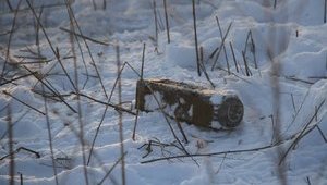 За рік на Донбасі розмінували майже 26 тисяч гектарів, - Міноборони