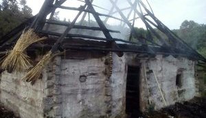 У Національному музеї народної архітектури та побуту в Пироговому згорів один із будинків експозиції, - ДСНС. ФОТО