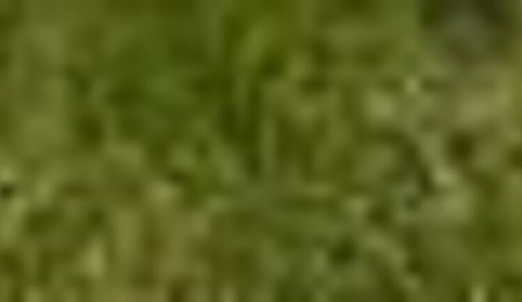 Україна достроково накопичила необхідний для опалювального сезону обсяг газу завдяки іноземцям