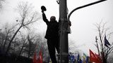 кабмин беркут драка