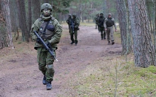 Lithuania,military