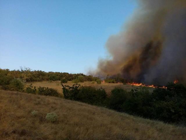 Пожежа на 30 га сталася на Миколаївщині 02 Пожежа на 30 га сталася на Миколаївщині 02