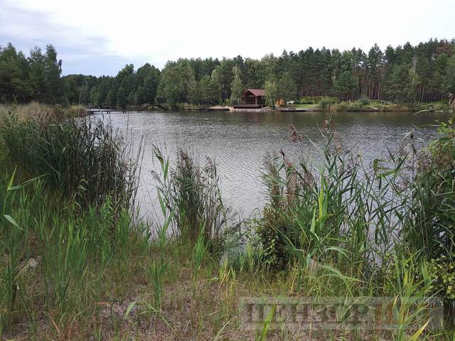 Hunting home of fugitive president Yanukovych: trophy from Lukashenko and guards shooting club 06 Hunting home of fugitive president Yanukovych: trophy from Lukashenko and guards shooting club 06