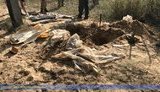 РПГ, противопехотная мина, гранаты и 4 тыс. патронов: на Луганщине обнаружен тайник, обустроенный участником НВФ, - СБУ. ФОТОрепортаж
