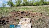 миколаївщина