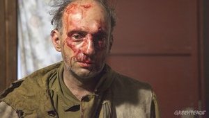 "Забирайтеся в свою піндосію": 8 озброєних осіб у масках жорстоко побили добровольців Greenpeace, які приїхали гасити пожежі на Кубані. ФОТОрепортаж