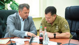 полторак синютка