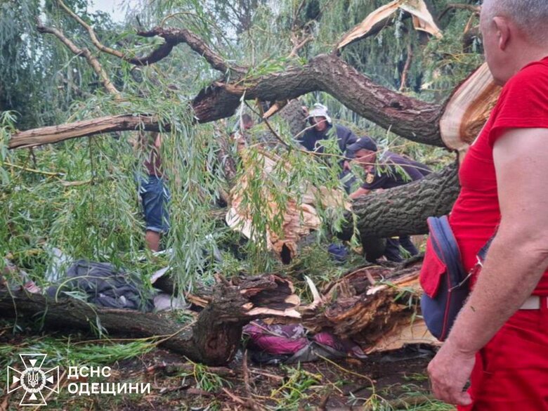 дерево впало на дітей