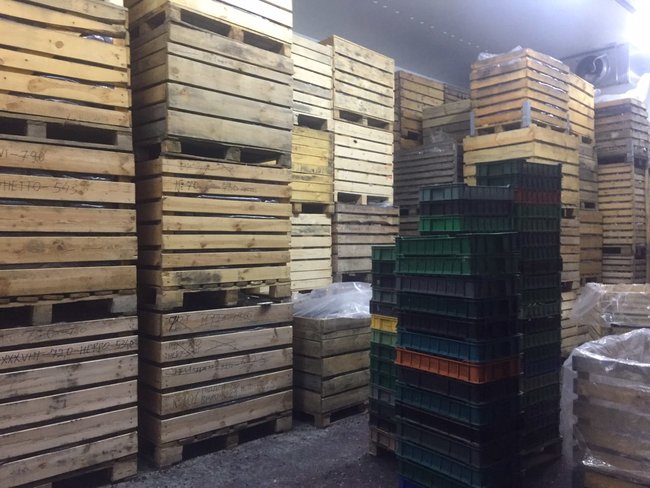 На Волині ліквідовано схему ухилення від податків під час заготівлі та експорту ягід і грибів, вилучено товарів на 5 млн грн 01