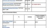 Opposition Lost 15 Plurality Districts Because of Klitschko. PHOTOS