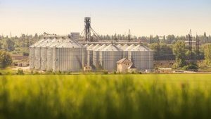 Кому принадлежат агрохолдинги, которые появились за последние 10 лет