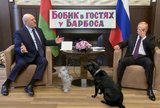 Старая, старая сказка ...