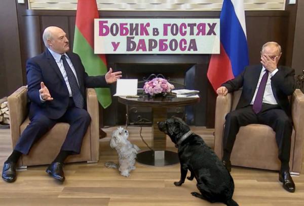 Социальный лифт, вирус коррупции, команда Верещук. Свежие ФОТОжабы от Цензор.НЕТ 12