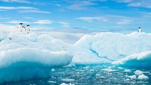 Власти России разрешат частным компаниям бурить на шельфе Арктики