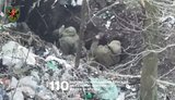 Боєць 110 бригади ліквідував 2 окупантів у ближньому стрілецькому бою на Дніпропетровщині
