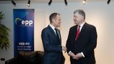 Порошенко зустрівся з Туском: "висловлено побоювання з приводу спроб міжнародної реабілітації Путіна". ФОТО