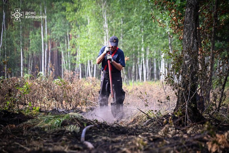 У Чорнобильській зоні ліквідували масштабну пожежу після двох тижнів безперервного гасіння