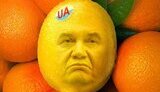 Лучшие политплакаты недели. Подборка карикатур и ФОТОжаб.