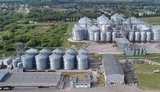 "Укрлендфарминг" Бахматюка загрузил на элеваторы 1,2 миллиона тонн зерна нового урожая