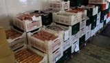 продукты питание снабжение