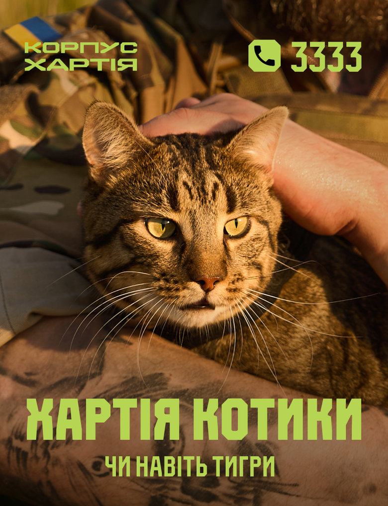 Хартия котики