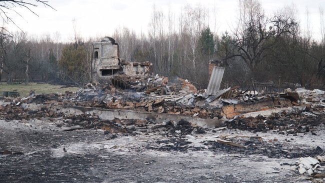 Причина лісових пожеж - приховування вирубки лісів, - Білецький показав кадри наслідків підпалів на Житомирщині 10 Причина лісових пожеж - приховування вирубки лісів, - Білецький показав кадри наслідків підпалів на Житомирщині 10