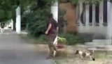 ТЦК забрали собаку в Одессе: полиция расследует дело