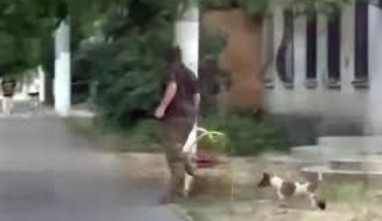 В Одессе военные ТЦК забрали собаку в бус: полиция начала производство