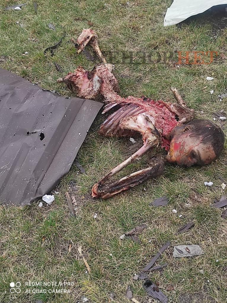 Обїдені собаками російські окупанти, яких знищили воїни 72-ї бригади у боях за Мощун на Київщині 02 Обїдені собаками російські окупанти, яких знищили воїни 72-ї бригади у боях за Мощун на Київщині 02