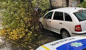 Внаслідок негоди в країні протягом 28 жовтня загинуло 3 людини, 10 отримали травми, - ДСНС