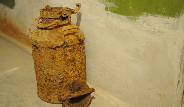 Unique collection of OUN’s official records found in Ternopil region, - SBU. PHOTOS