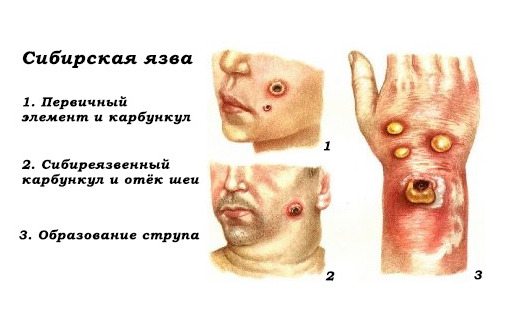 Вы точно человек?