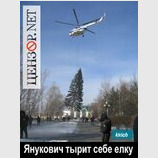 Янукович тырит себе елку