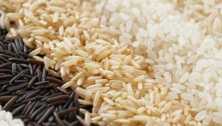 Потепление позволит превратить Украину в экспортера риса, – Минагрополитики